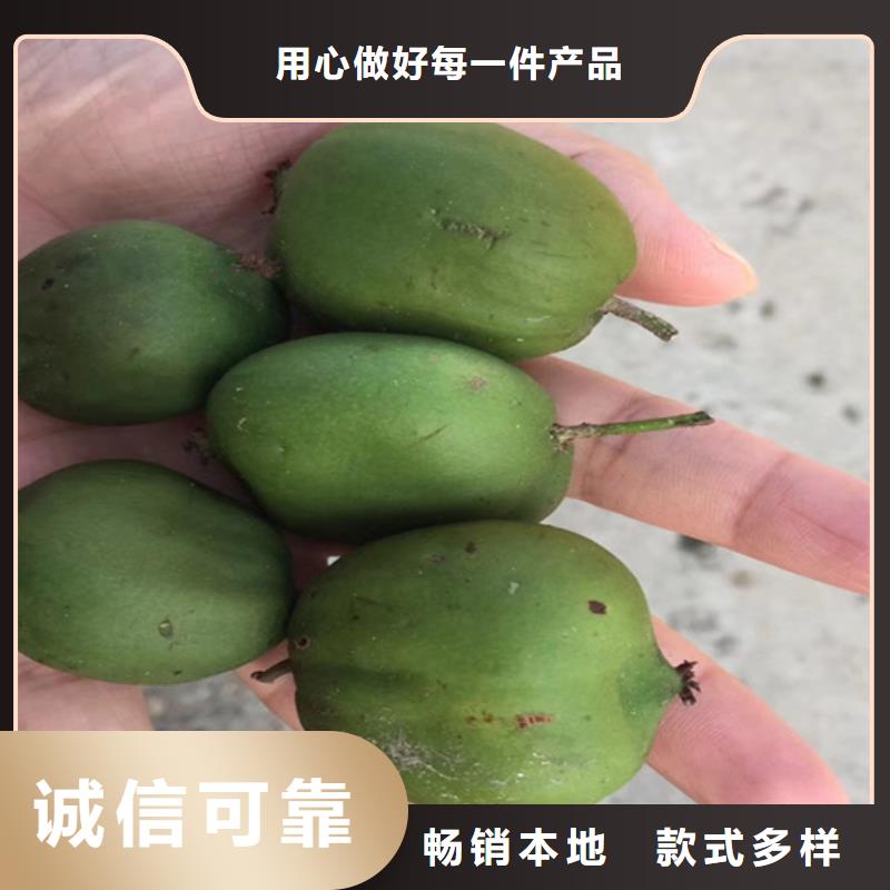 猕猴桃_板栗苗货品齐全