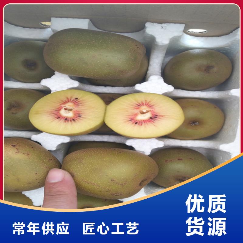 猕猴桃西瓜番石榴苗高品质现货销售