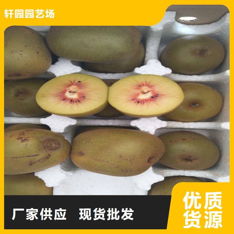 猕猴桃,樱桃苗值得买