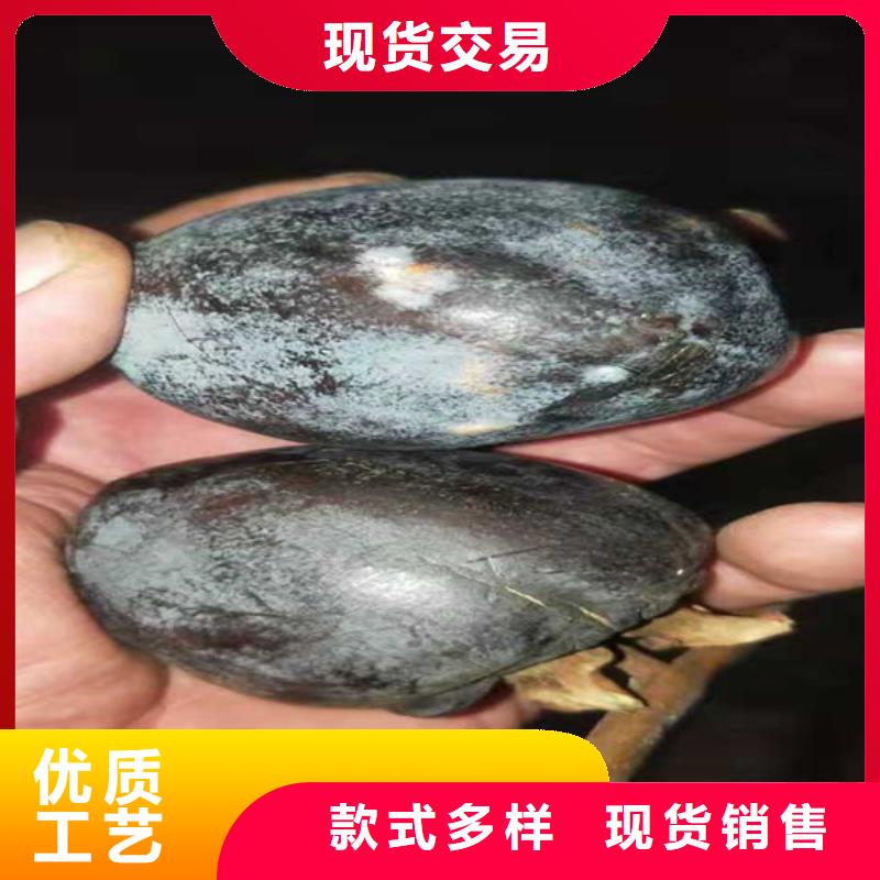 柿子桃树苗追求细节品质