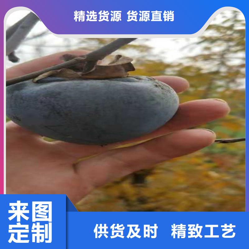 柿子,石榴树保障产品质量