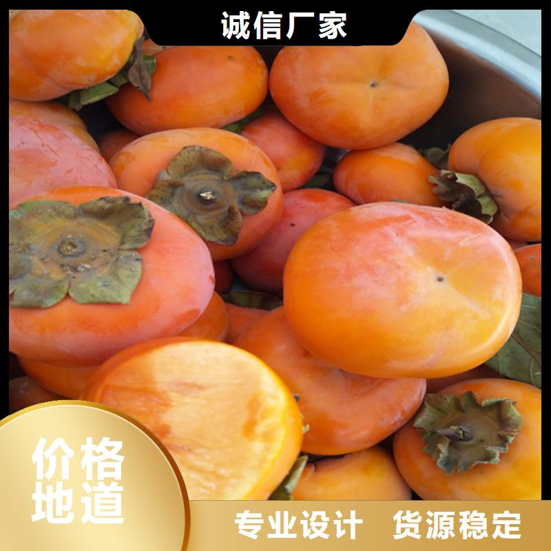 柿子北美冬青厂家拥有先进的设备