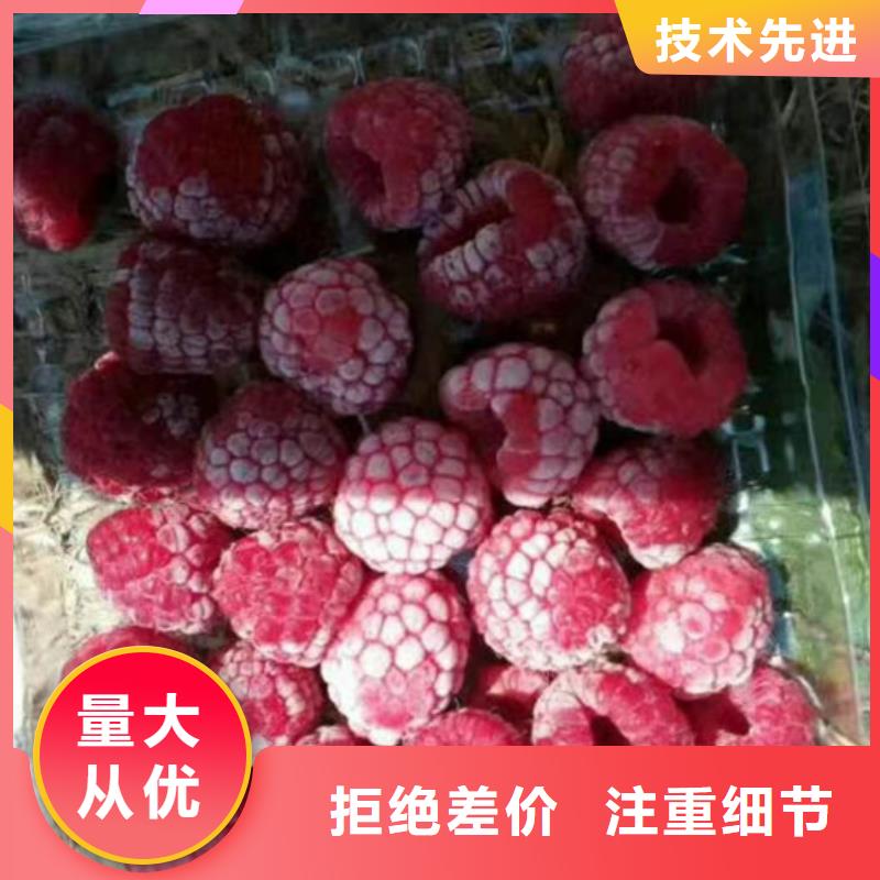 树莓-石榴苗用好材做好产品