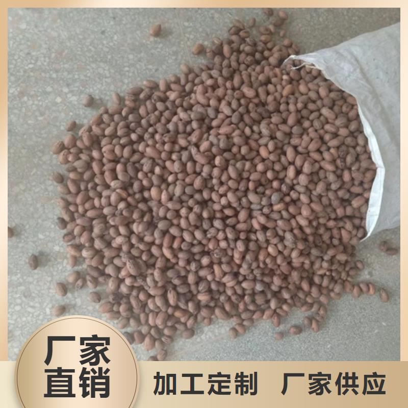 碧根果樱桃苗定制批发