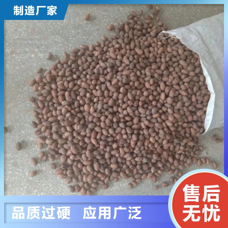 碧根果桃树苗N年专注