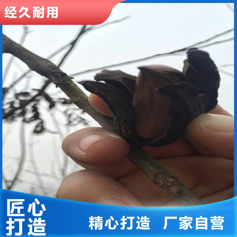 碧根果,【樱桃苗】匠心工艺
