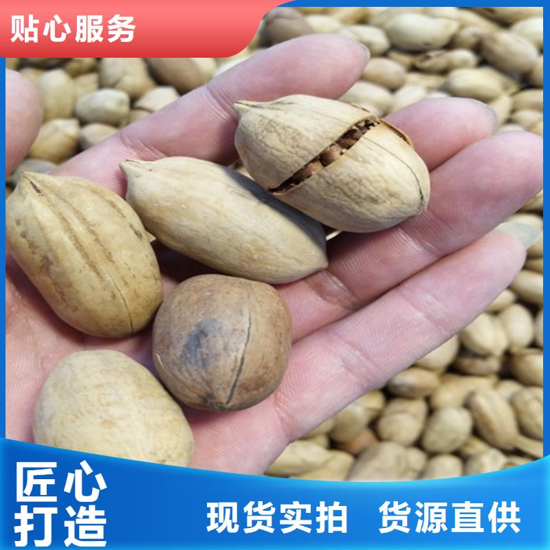 碧根果石榴苗国标检测放心购买