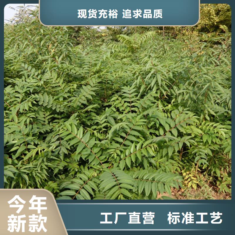 香椿石榴树拒绝差价