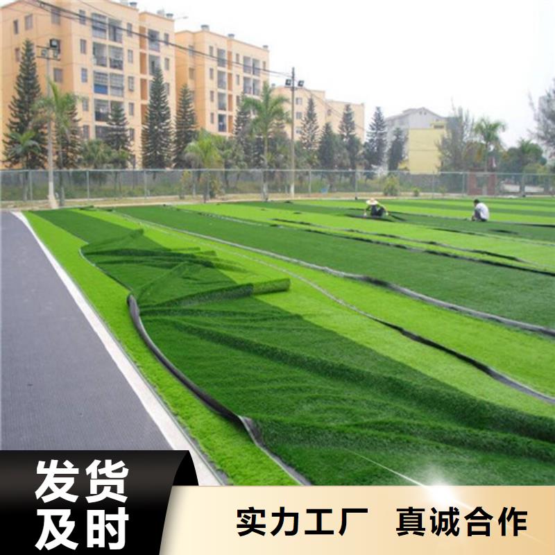 人造草坪厂家售后完善