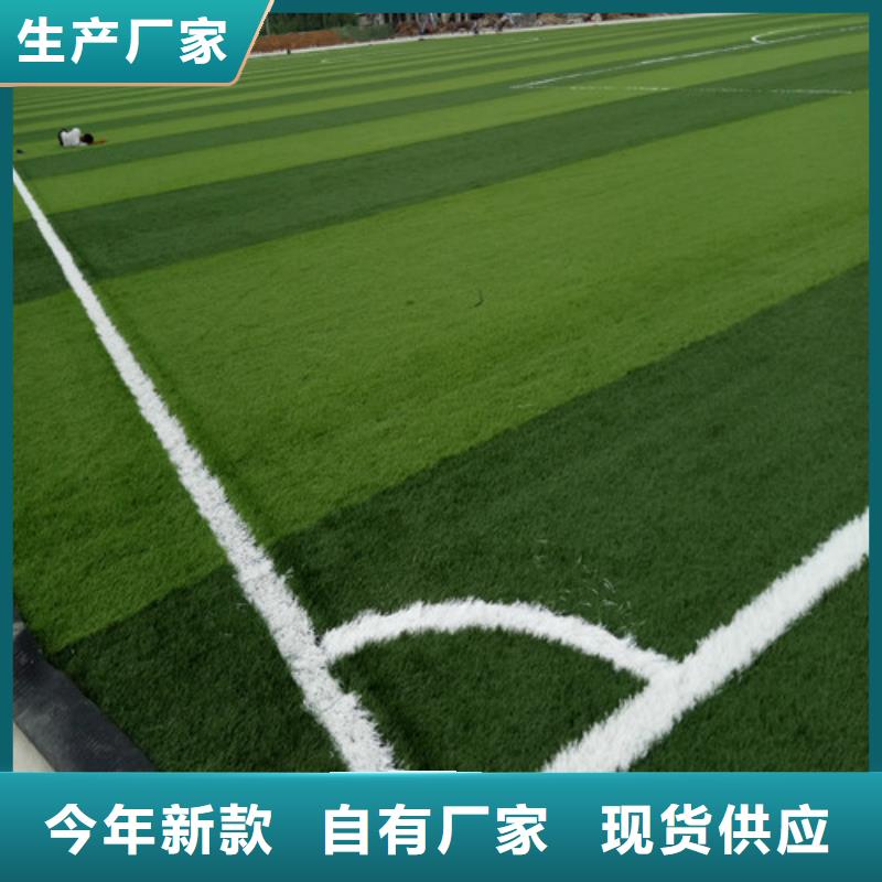 【人造草坪塑胶篮球场畅销当地】