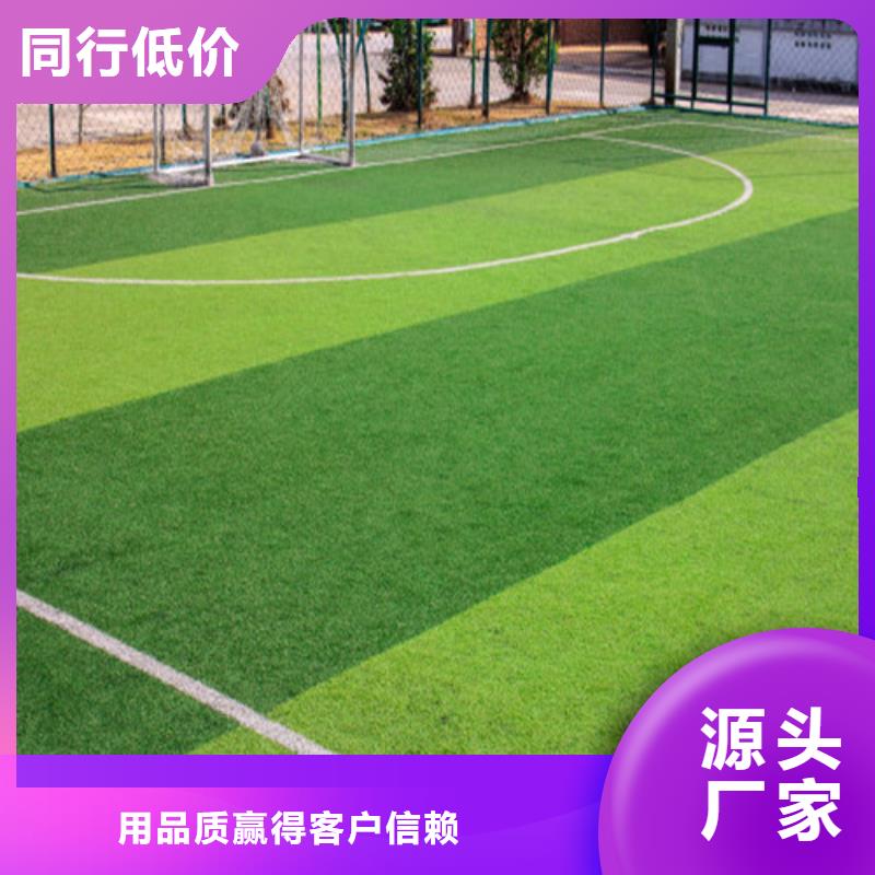 【人造草坪批发货源】