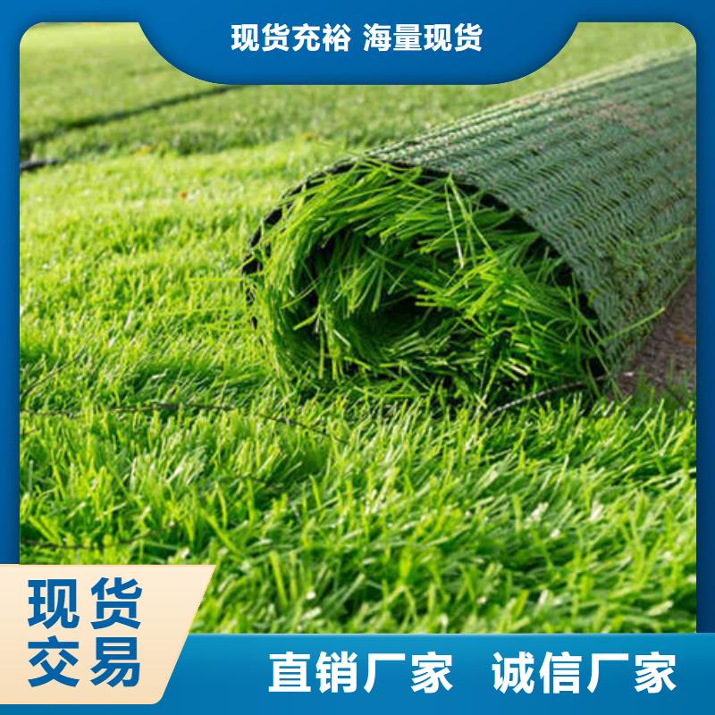 人造草坪,混合型塑胶跑道精选货源