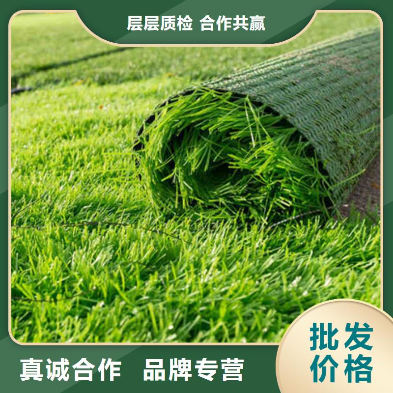 人造草坪塑胶跑道商家直供