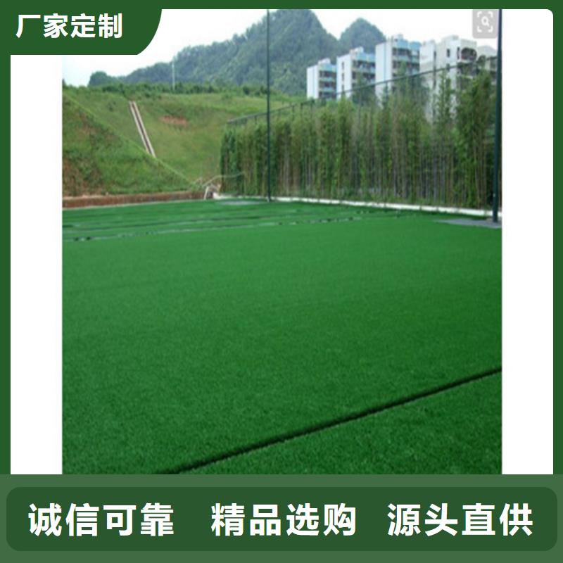 人造草坪【塑胶球场】质量安心