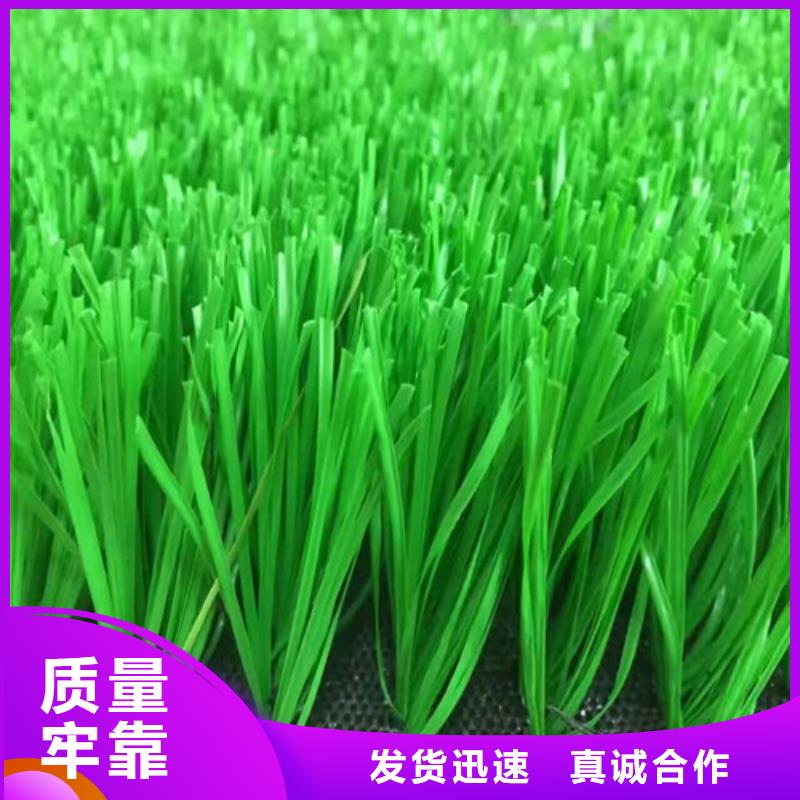人造草坪塑胶球场货源报价