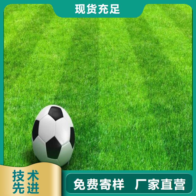 人造草坪PVC室内地坪好货有保障