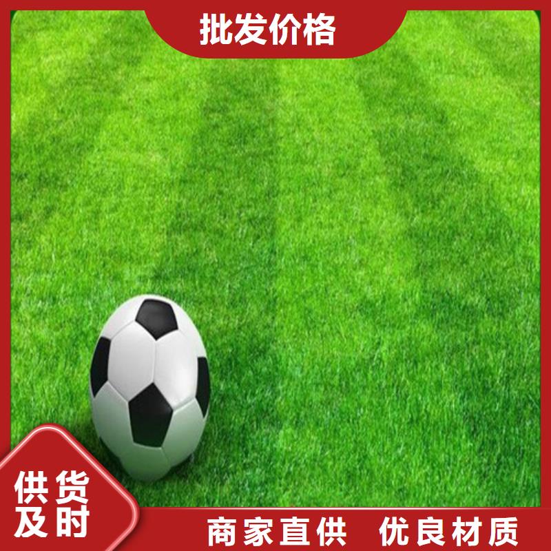 人造草坪硅PU球场质量优选
