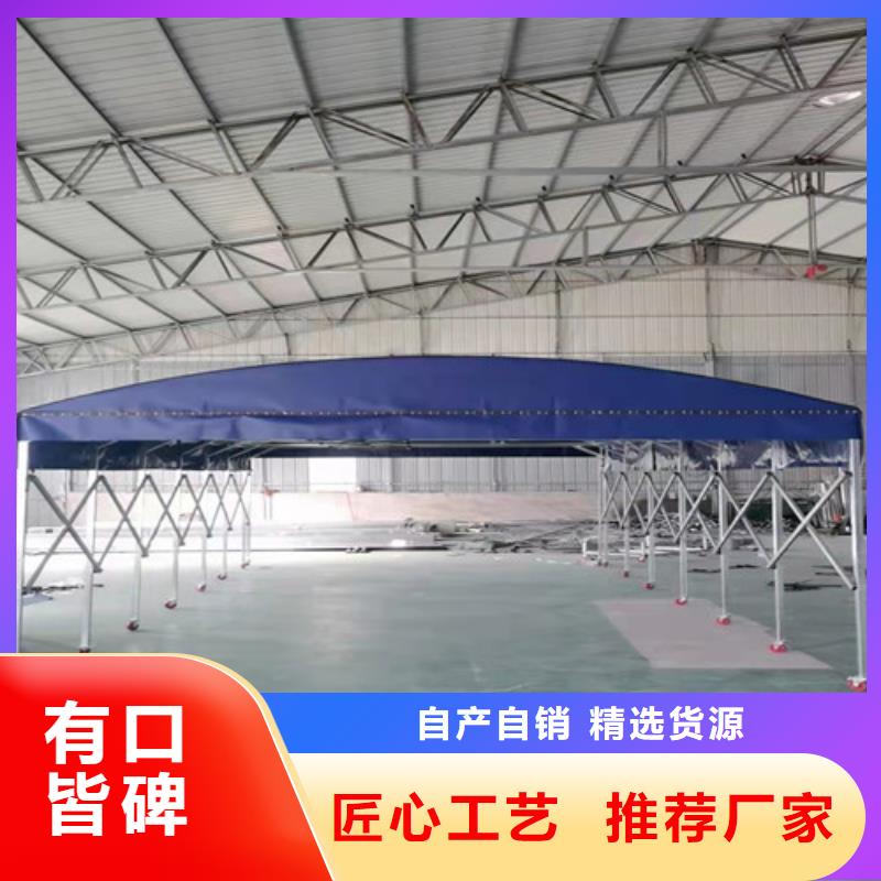 雨蓬伸缩遮阳篷实力厂商