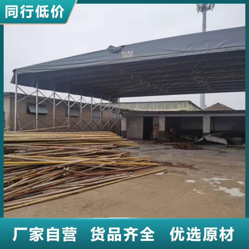  雨蓬种类丰富