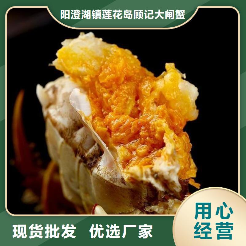 阳澄湖蟹哪家好苏州莲花岛顾记蟹庄