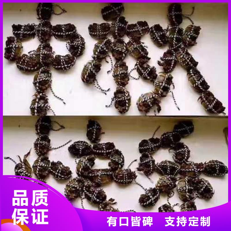 阳澄湖蟹哪家好苏州莲花岛顾记蟹庄