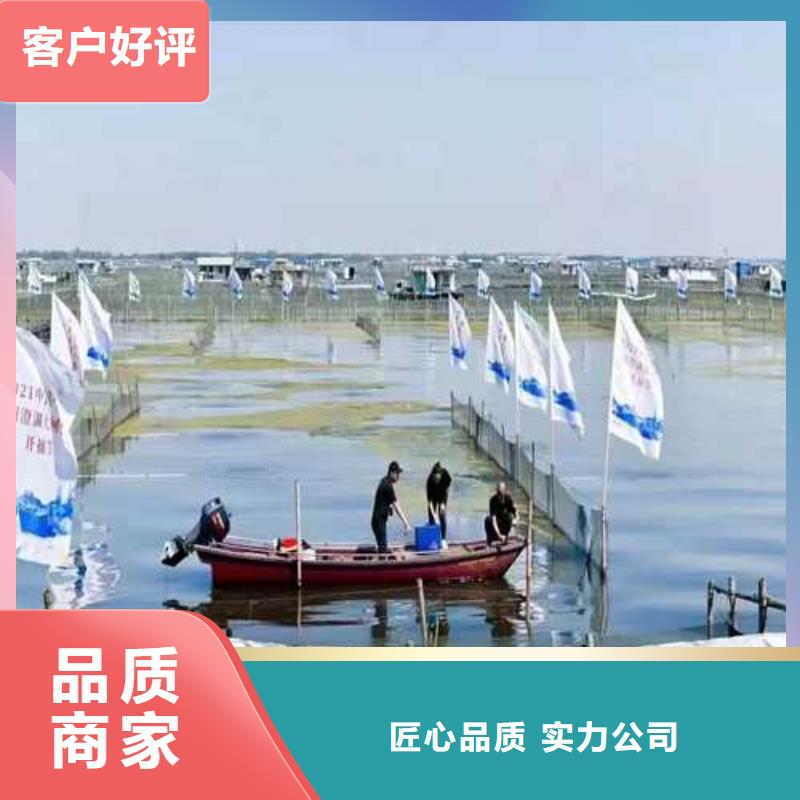 巴城阳澄湖大闸蟹哪家好
