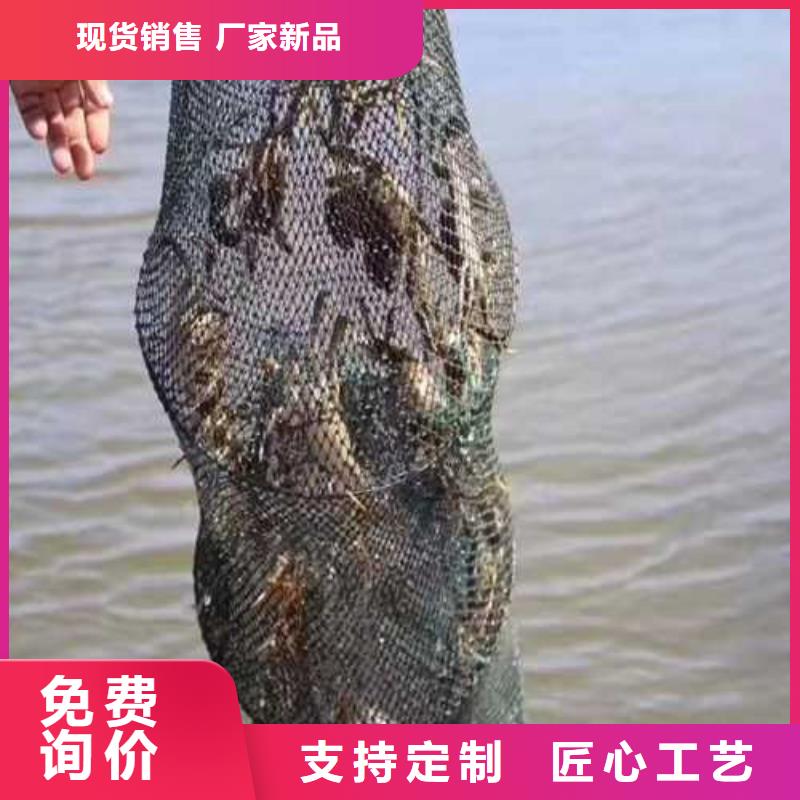 莲花岛阳澄湖大闸蟹哪家好
