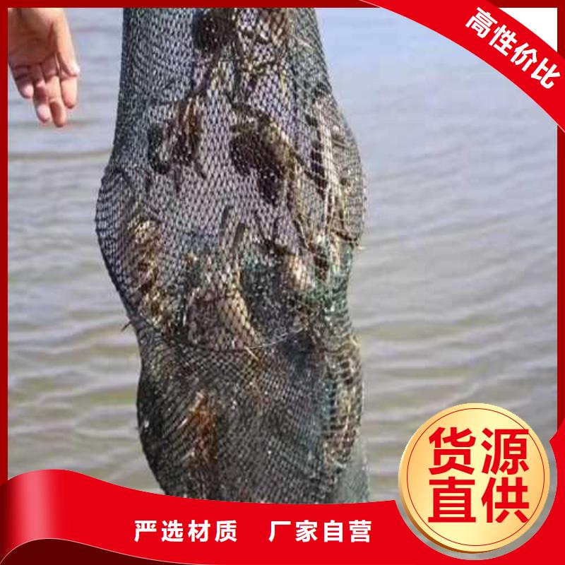 苏州阳澄湖农家乐哪家便宜味道好