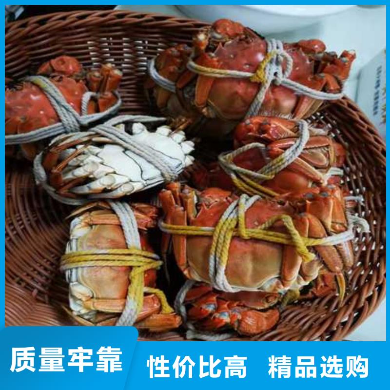 苏州阳澄湖农家乐多少钱味道好