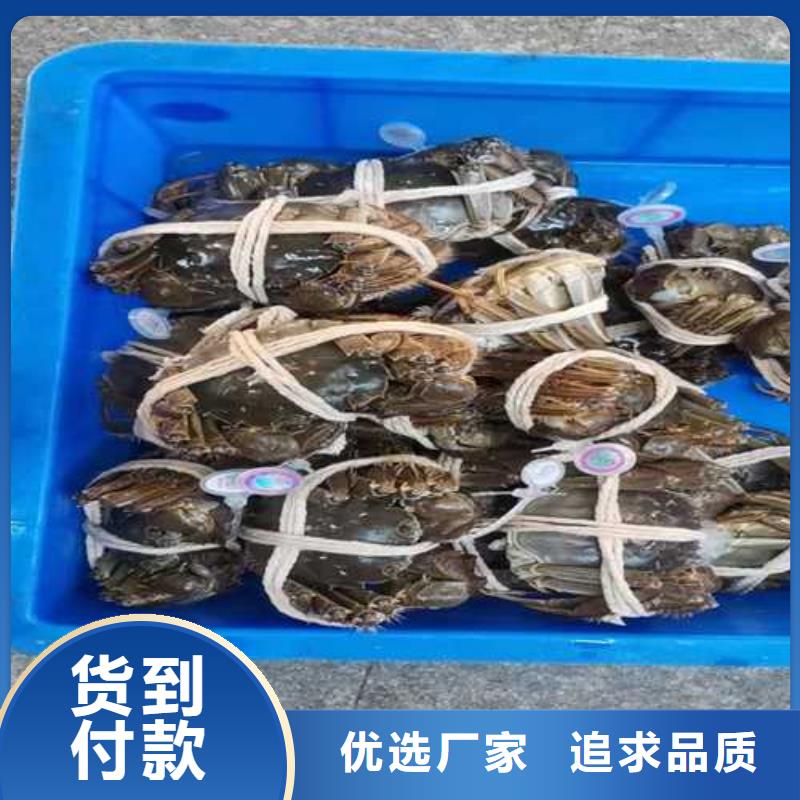 去阳澄湖买蟹哪里好在苏州阳澄湖