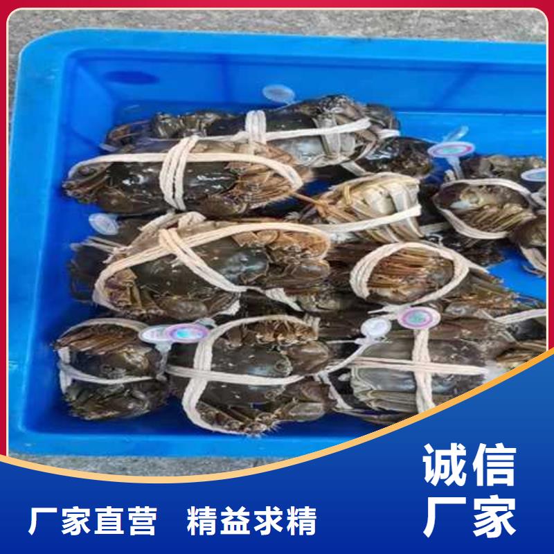 阳澄湖买蟹哪里比较好苏州莲花岛顾记蟹庄