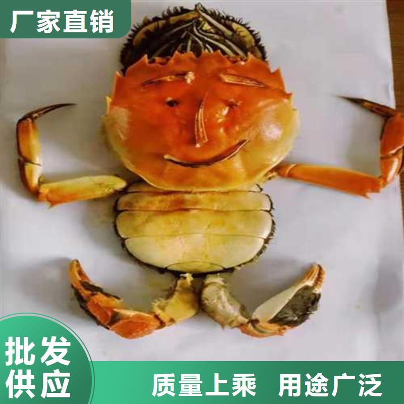 阳澄湖大闸蟹哪里好苏州莲花岛顾记蟹庄