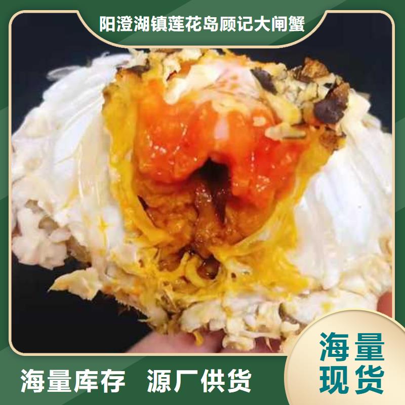 阳澄湖买蟹哪家正宗苏州莲花岛顾记蟹庄