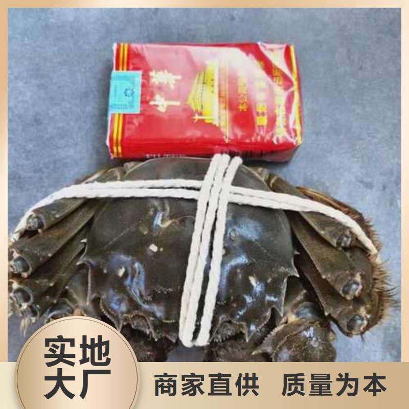 陵水县去正宗阳澄湖大闸蟹哪里好在阳澄湖