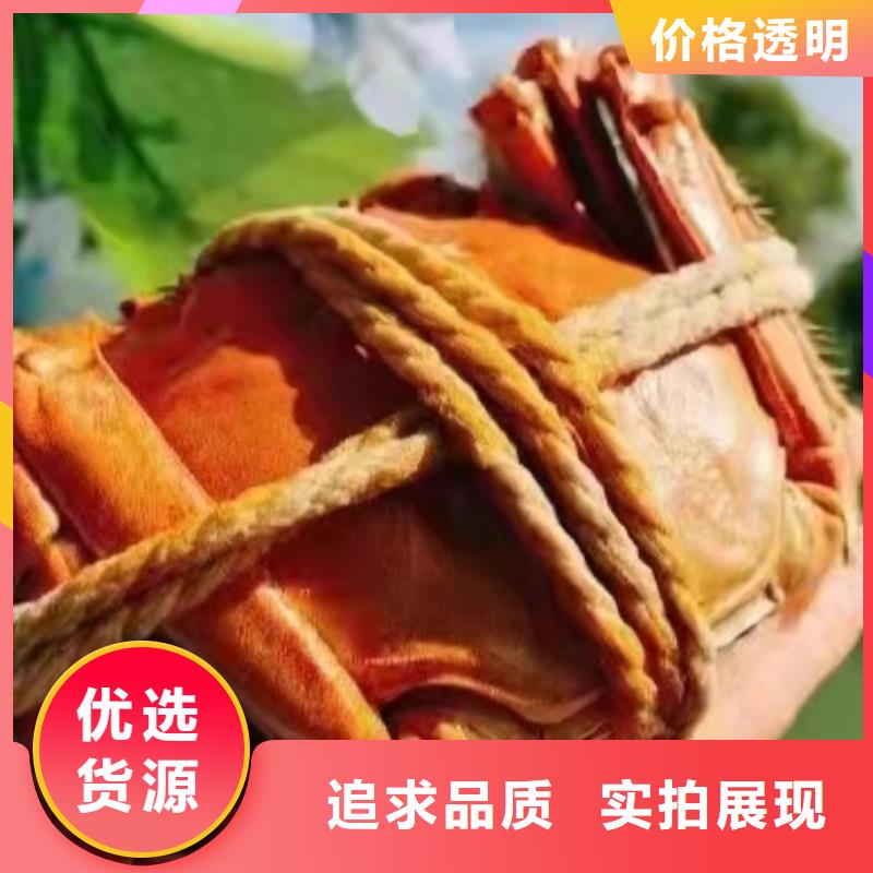阳澄湖蟹哪家好苏州莲花岛顾记蟹庄