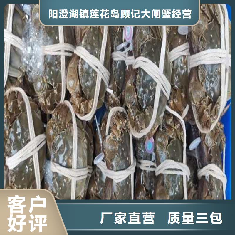 苏州阳澄湖大闸蟹哪家正宗味道好