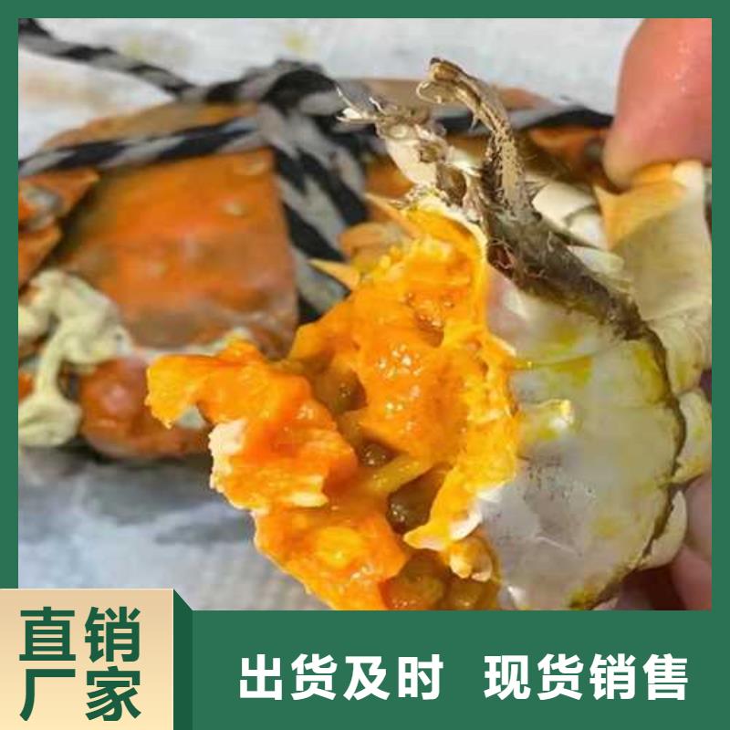 苏州阳澄湖大闸蟹哪家好