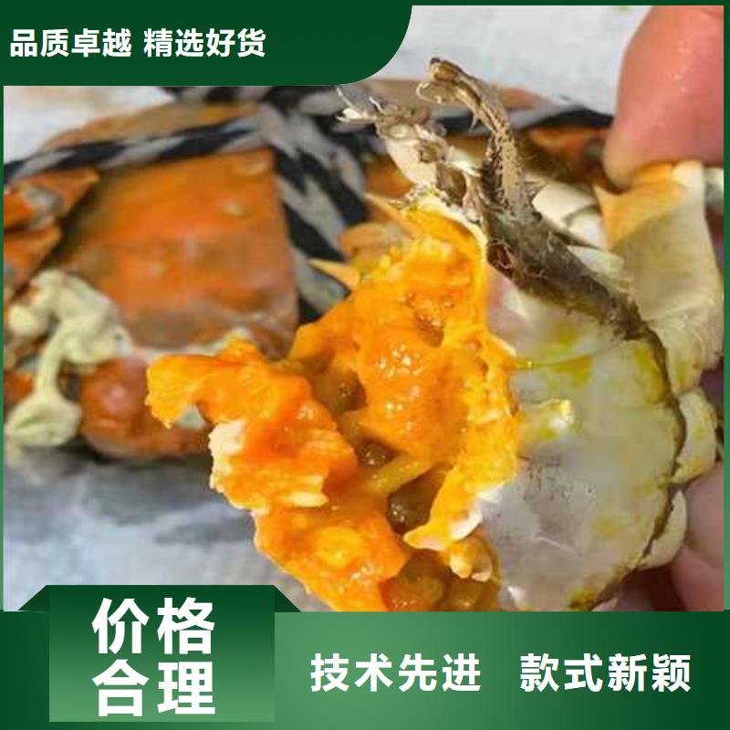 阳澄湖蟹哪里好苏州莲花岛