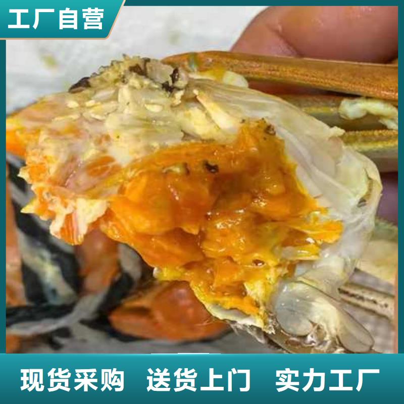 阳澄湖吃蟹哪里好苏州莲花岛顾记蟹庄