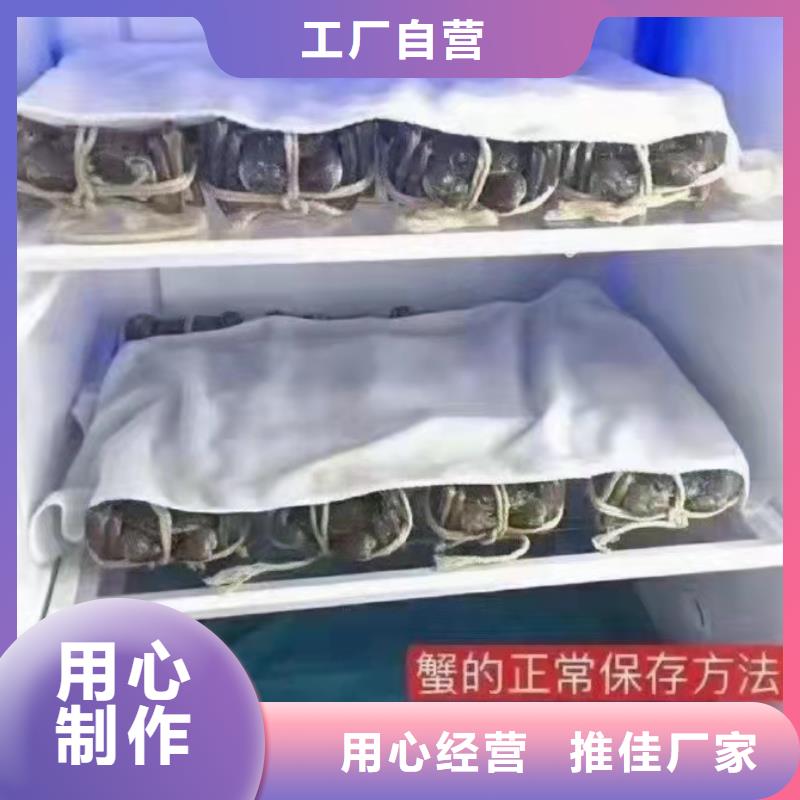 莲花岛阳澄湖大闸蟹哪家好