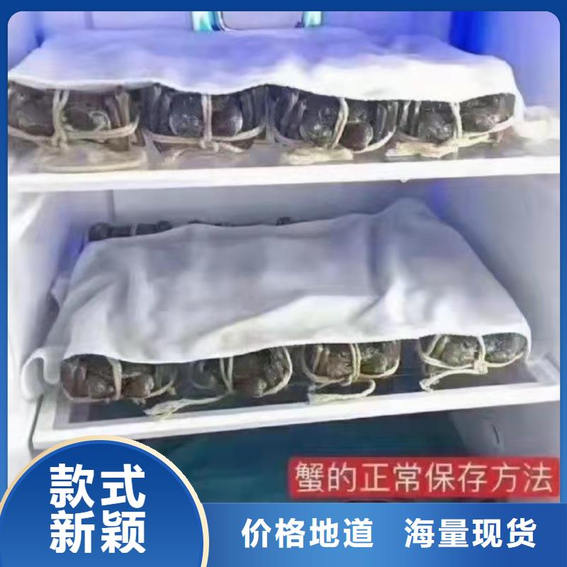 莲花岛大闸蟹哪家好吃
