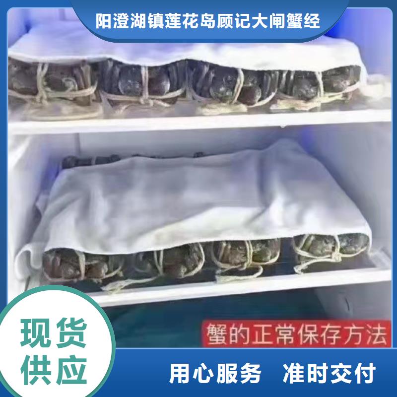 苏州阳澄湖农家乐那家实惠味道好