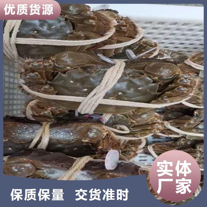 苏州阳澄湖农家乐那家实惠味道好