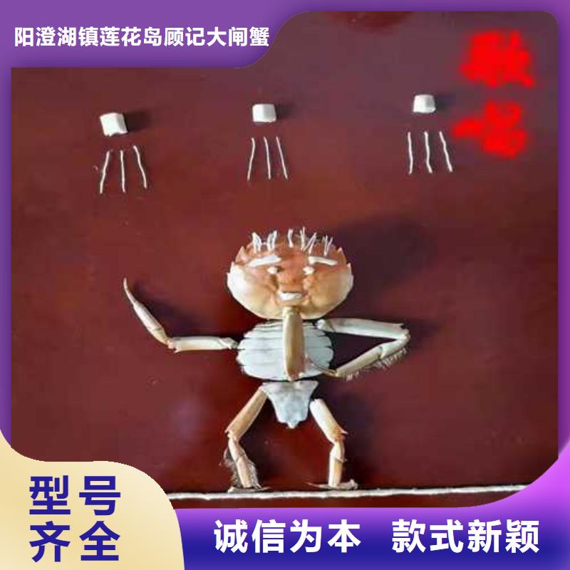 去正宗阳澄湖大闸蟹哪里好在苏州阳澄湖