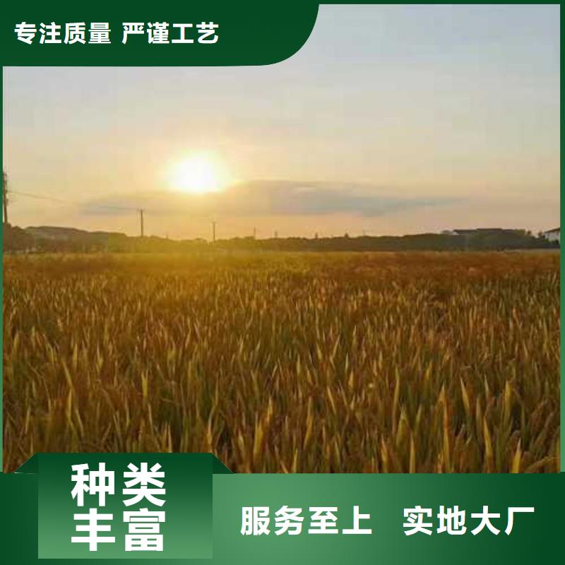 阳澄湖吃蟹哪里正宗苏州莲花岛