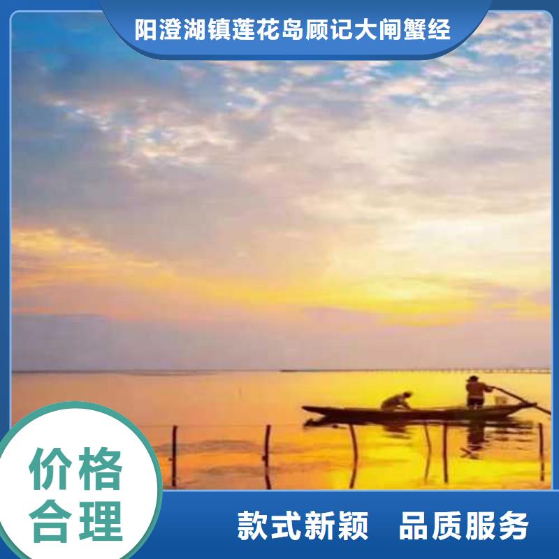 阳澄湖买大闸蟹哪家买苏州莲花岛顾记蟹庄