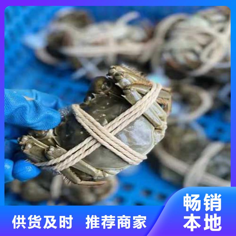 苏州阳澄湖买大闸蟹哪家好阳澄湖吃大闸蟹农家乐