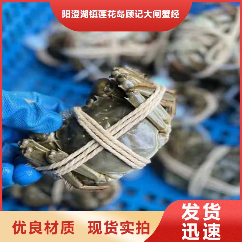 苏州阳澄湖大闸蟹哪家好