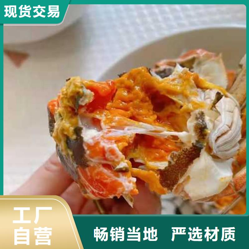 去阳澄湖大闸蟹哪里好在苏州阳澄湖