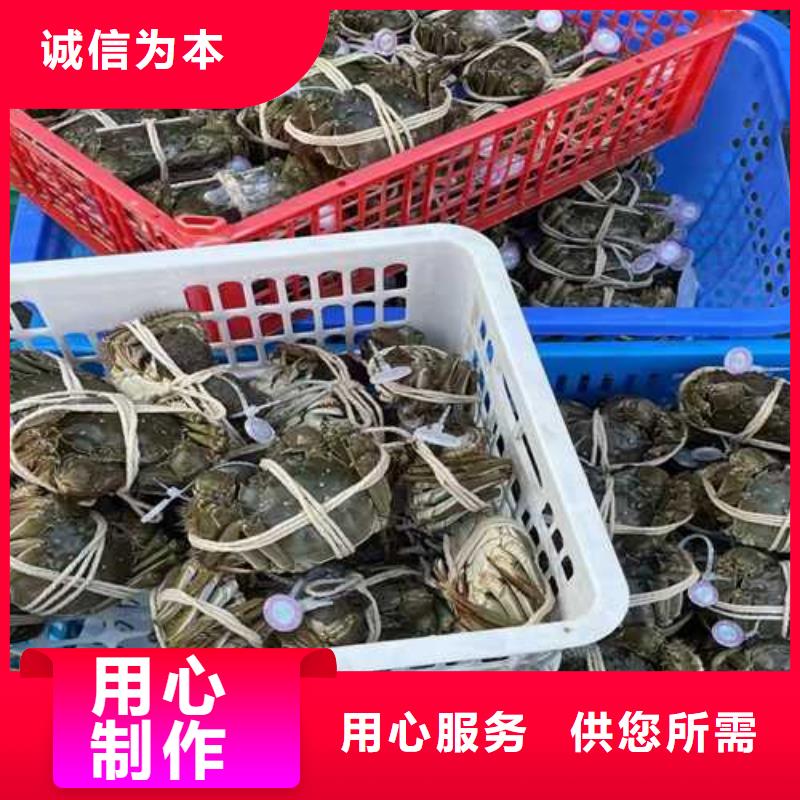 阳澄湖买大闸蟹哪家好阳澄湖吃大闸蟹农家乐